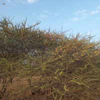 WhatsApp Image 2021-11-02 at 07.04.02